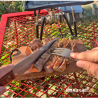 amenoma Wood stand solo